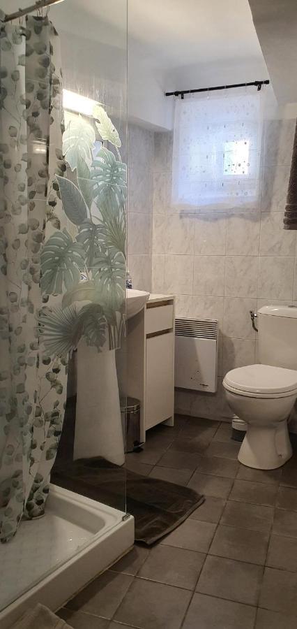 Charmant appartement en centre-ville Digne-les-Bains Extérieur photo
